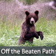 Alaska Off the Beaten Path Tour